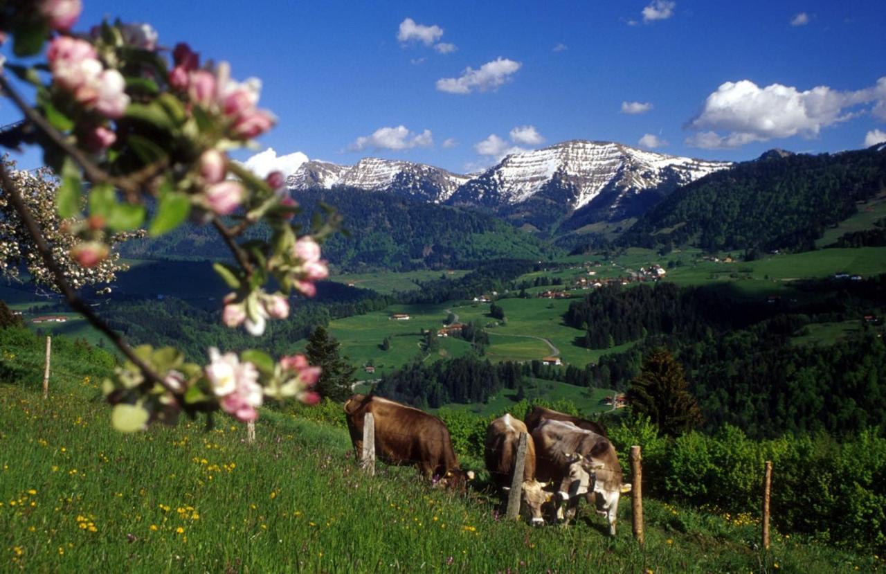 Apartamento Fewo "Bergparadies",Oberstaufen-Steibis Exterior foto