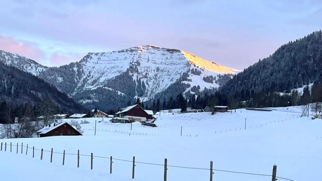 Apartamento Fewo "Bergparadies",Oberstaufen-Steibis Exterior foto